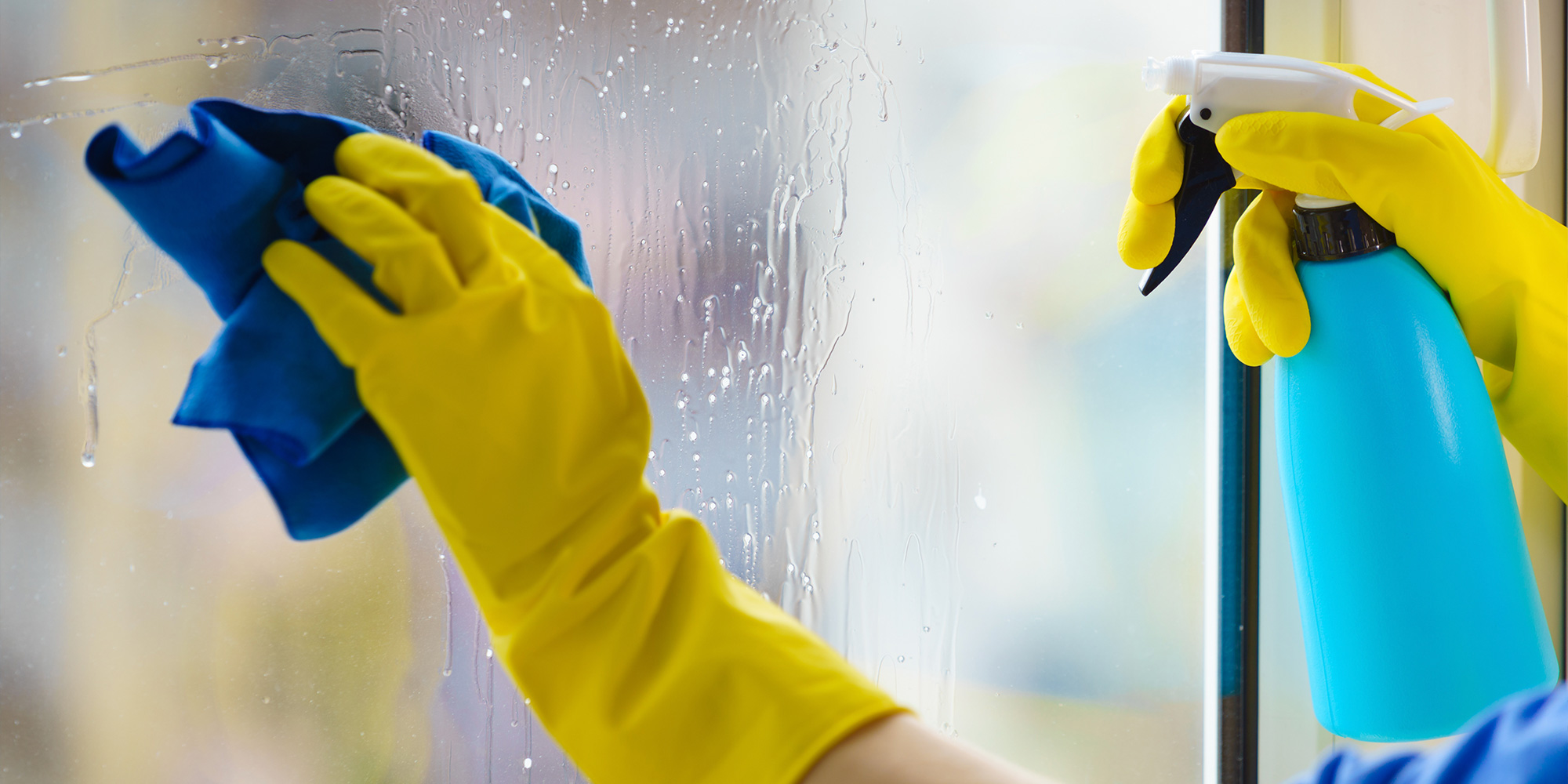 Residential Window Washing